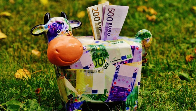 money-cow