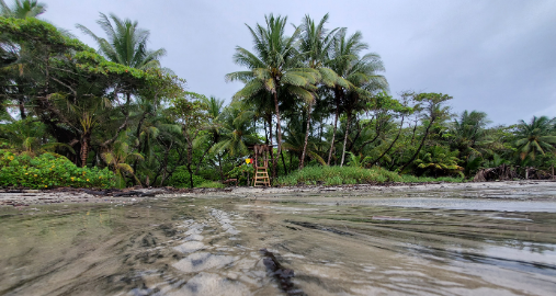 Costa-Rica-Environment