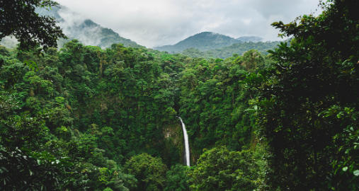 Environmental Internship in Costa Rica