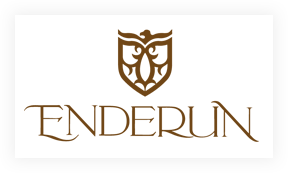 Enderun Colleges, Philippines