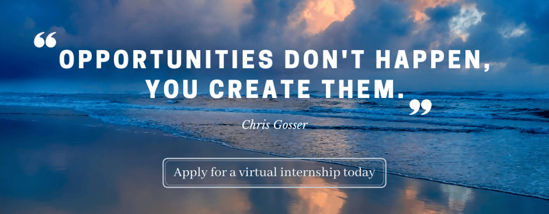 Apply for a virtual internship today