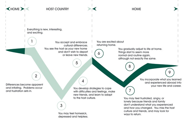 Culture Shock Curve Chart