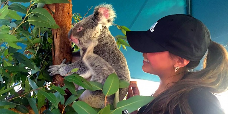 Katie Hunsberger, Sydney, intern, koala