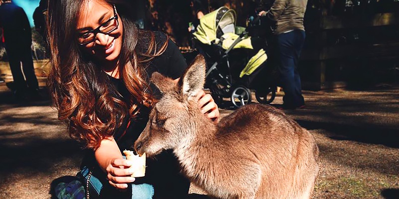 Katie Hunsberger, Sydney, intern, kangaroo