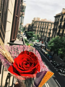 Sant Jordi Day