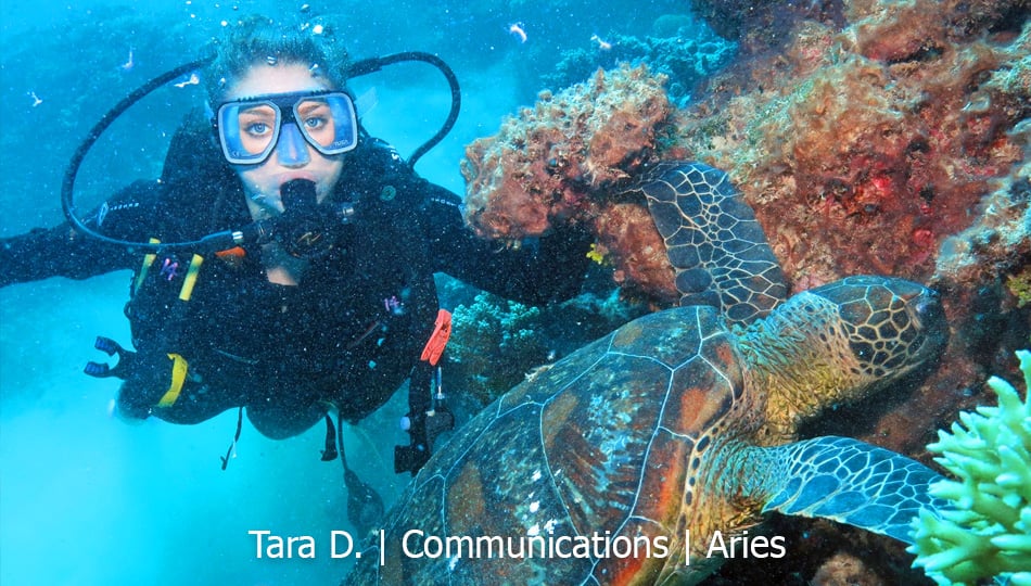 Sydney Communications intern Tara snorkeling off of the great barrier reef