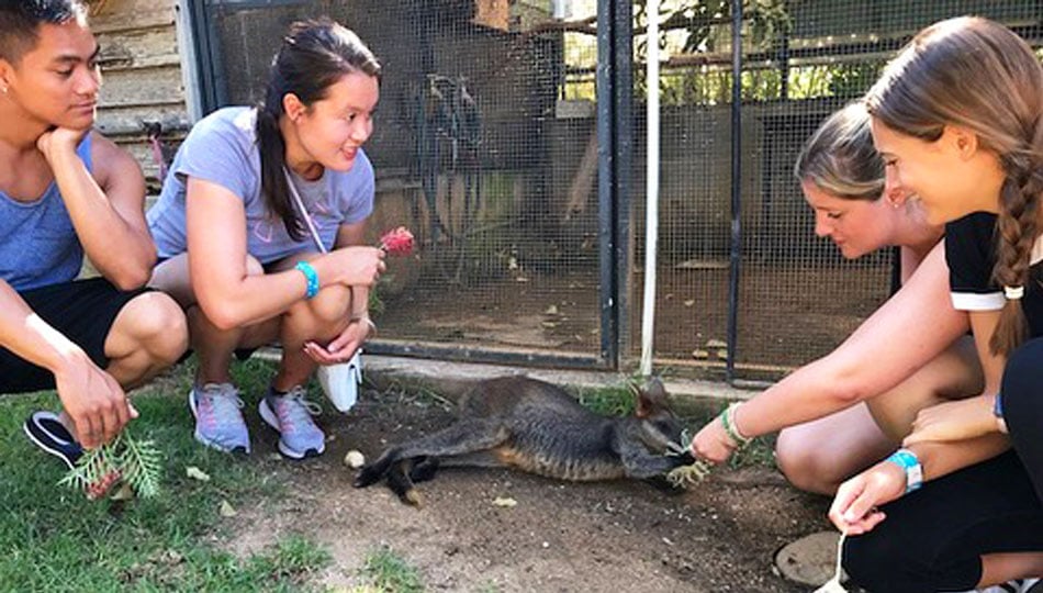 Sydney Interns at Zoo