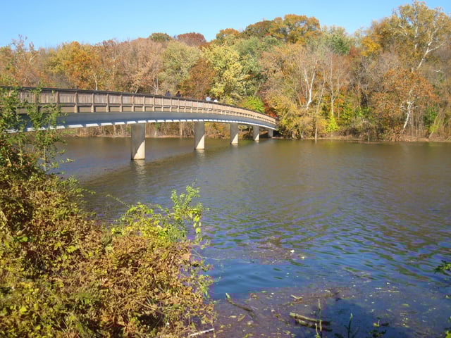 Theodore_Roosevelt_Island_DC_-_IMG_7124.jpg