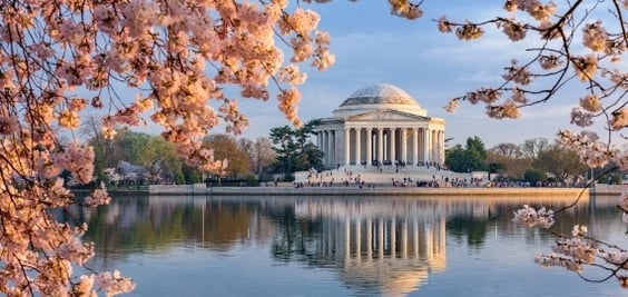 DC Business Development Internship