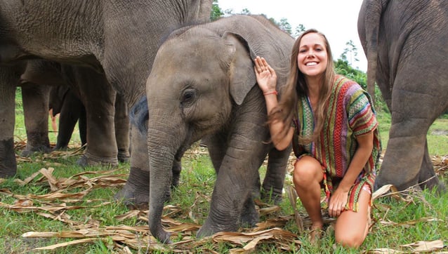 Woman petting a baby elephant in Thailand