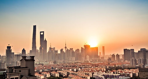International Business Internship