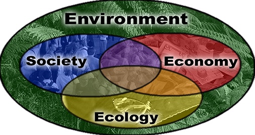 Environmental Advocacy