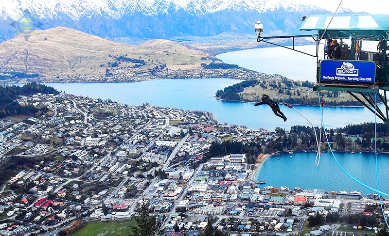 Interns at Bungy