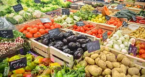 Agriculture Internships in Rome