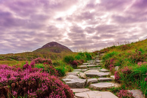 National Park in Ireland