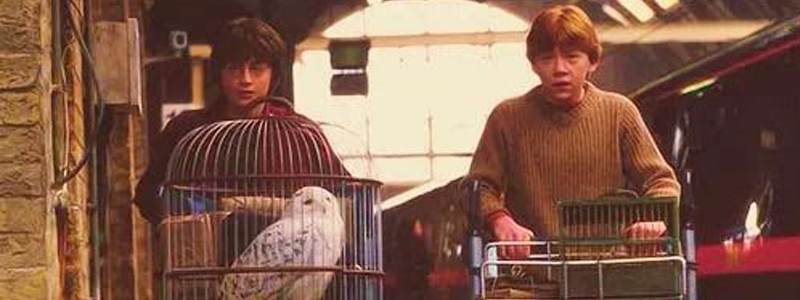 happy-potter-header-1